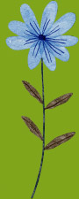 Blume
